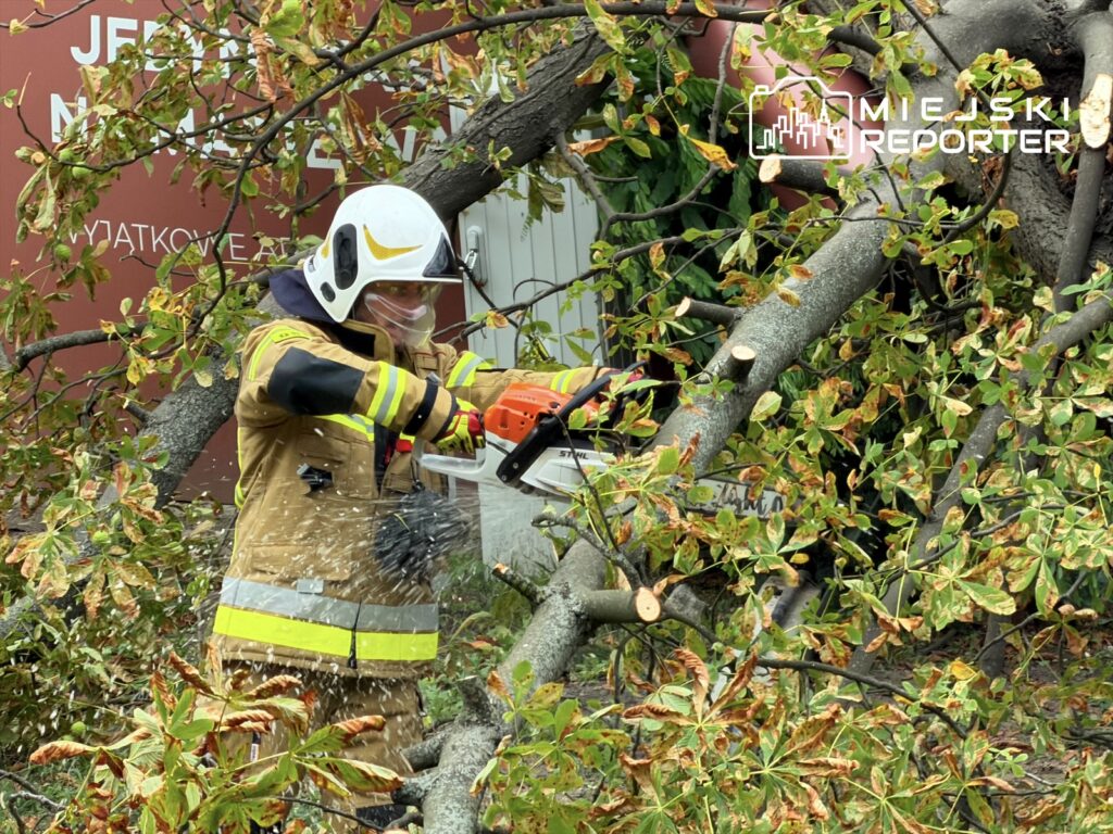 Strażak w hełmie używa piły łańcuchowej do usuwania gałęzi z przewróconego drzewa w miejskim otoczeniu.