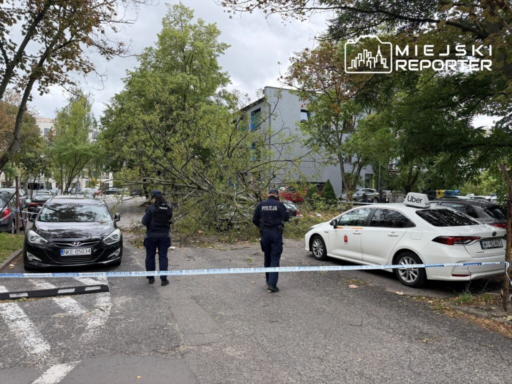 Na chodniku leży wyrwane drzewo, obok dwa uszkodzone samochody, a policjant bada sytuację.
