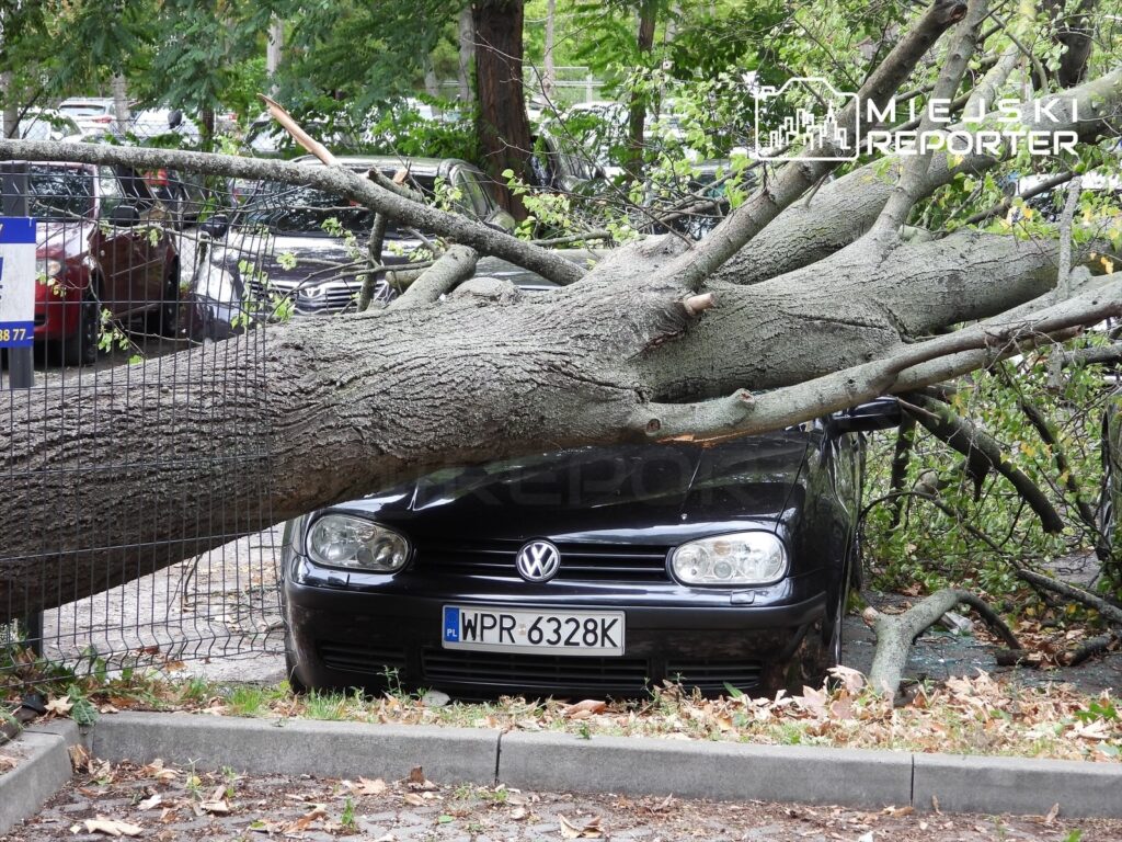 Ogniskowe drzewo przewrócone na czarny samochód osobowy w parkingu, z widocznymi uszkodzeniami nadwozia.