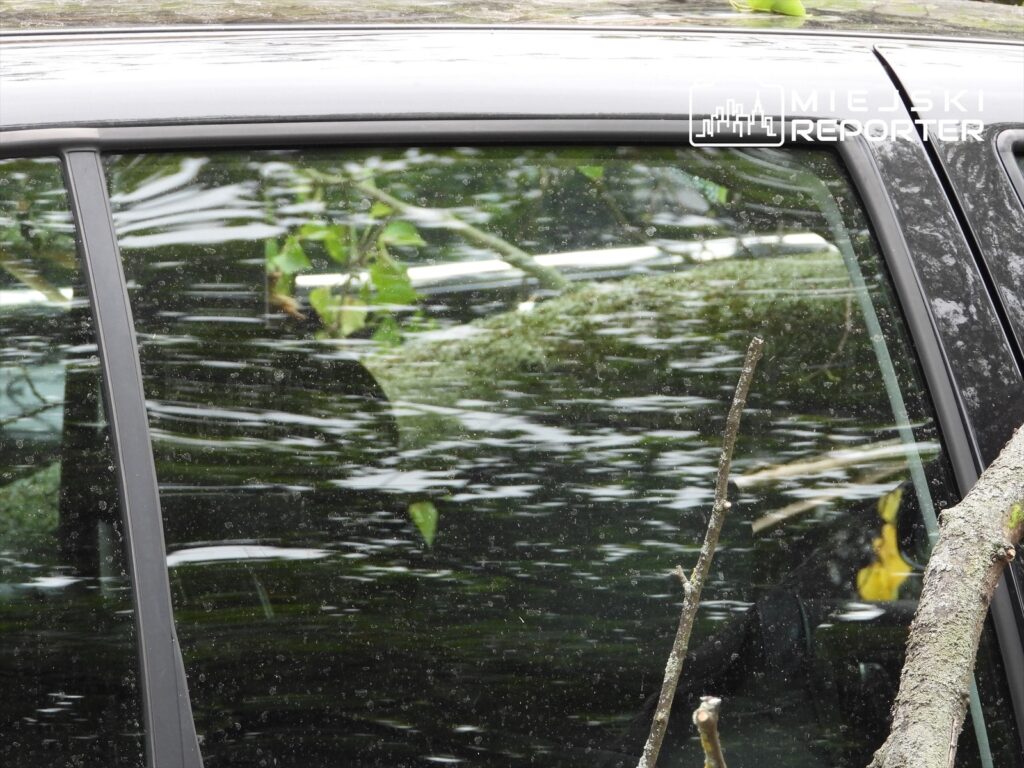 Na czarnej karoserii samochodu widać gałęzie i liście, które opadły na skutek silnego wiatru.