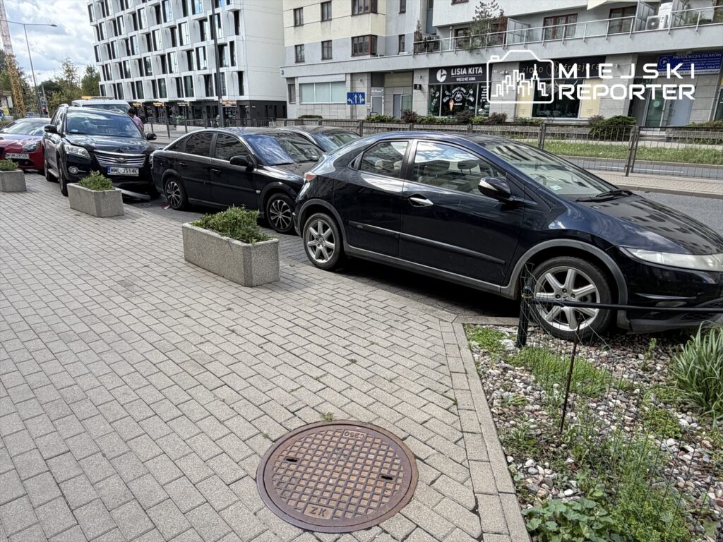 Cztery zaparkowane samochody osobowe stoją wzdłuż chodnika, w otoczeniu niskiej zieleni i kostki brukowej.