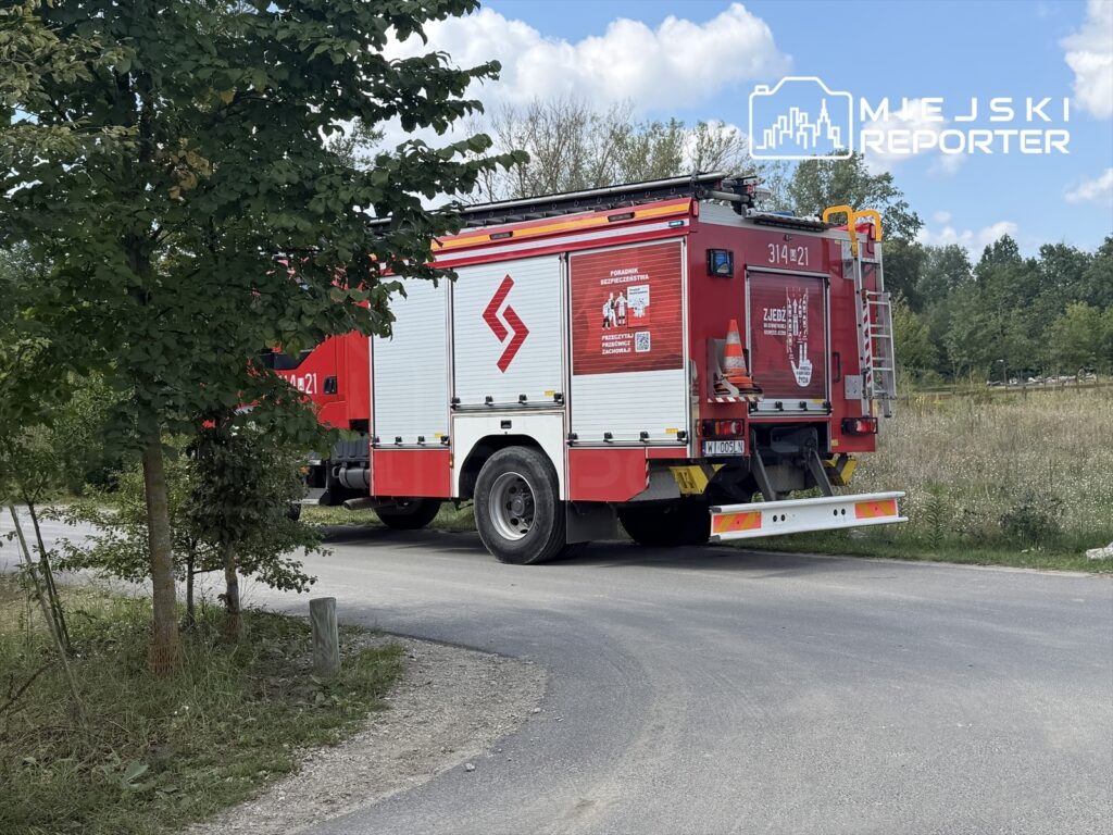 Czerwony wóz strażacki zatrzymany na drodze, w otoczeniu drzew i trawy, z widocznymi oznaczeniami na tylnej części.
