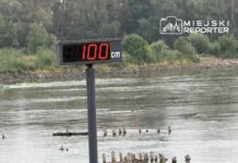 Wodowskaz wskazujący 100 cm na rzece Wisła, z kajakarzem pływającym w tle.