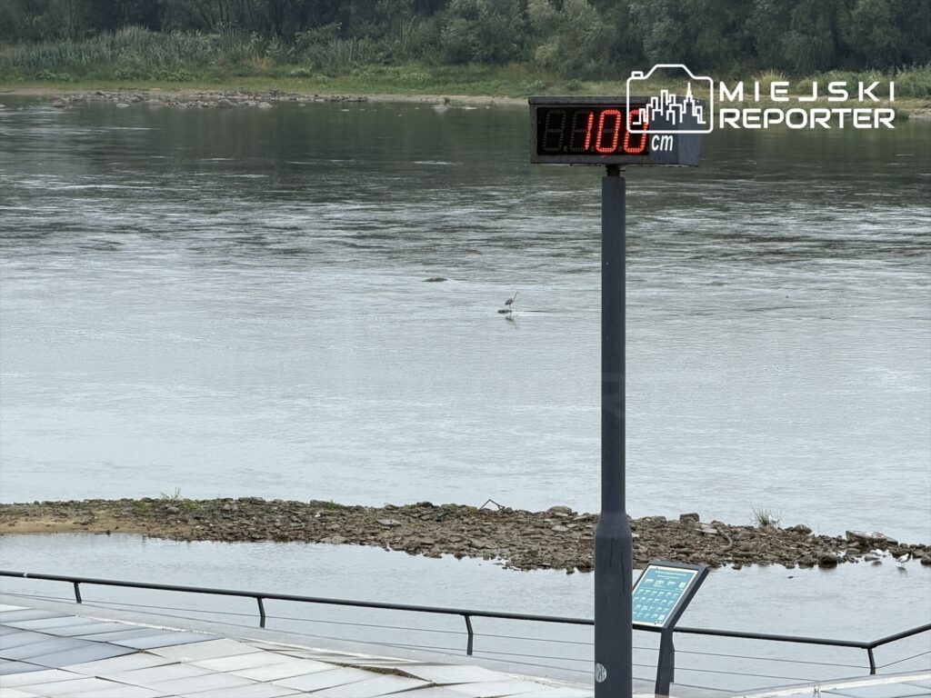 Elektroniczny wskaźnik pokazujący poziom wody 100 cm w rzece Wisła, w tle widoczne zarośla i kamienisty brzeg.