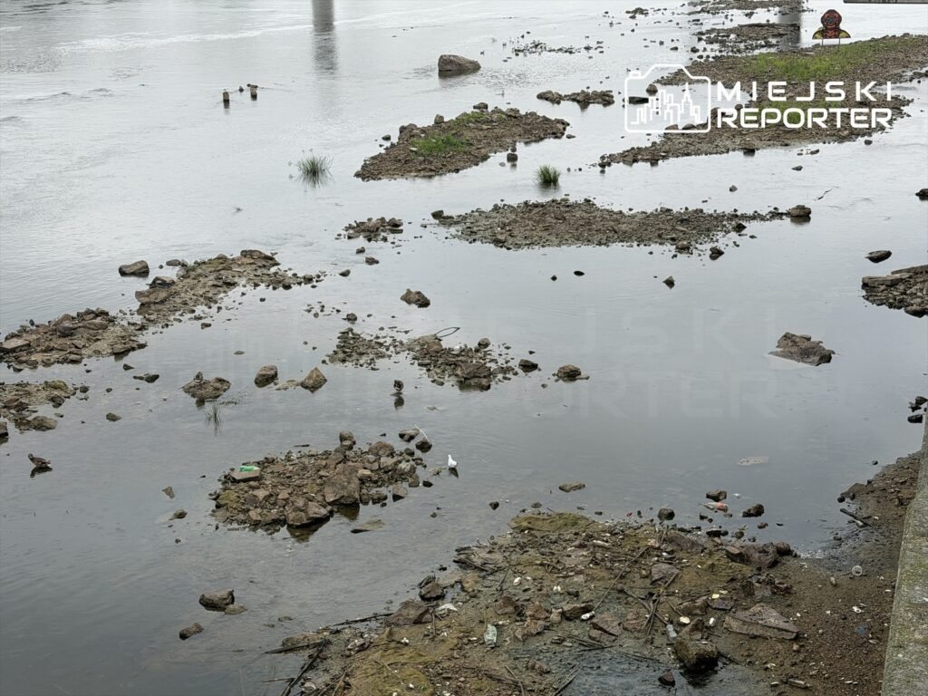 Woda w rzece Wisła odsłoniła kamienie i fragmenty roślinności, tworząc płycizny z widocznymi śmieciami.