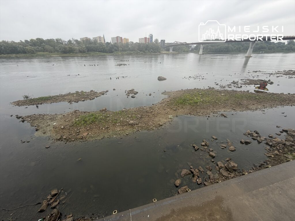 Wisła z odsłoniętymi kamieniami i skrawkiem zieleni, w tle nowoczesne budynki i most. Niski poziom wody.