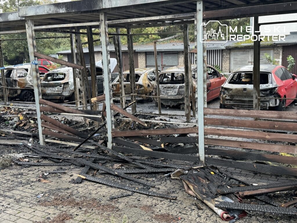 Zniszczone przez ogień samochody w zadaszonym parkingu, otoczone popiołem i spalonym drewnem.