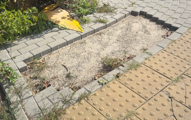 Fragment chodnika z ułożonymi kostkami, w którym znajduje się nieużywana przestrzeń z piaskiem i chwastami.