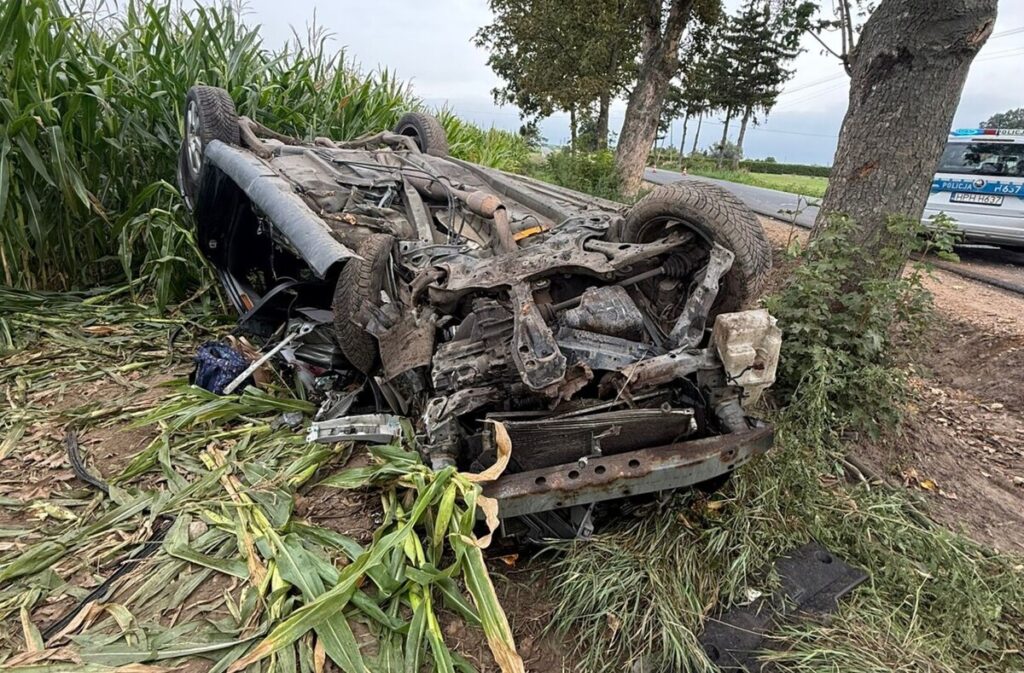 Przewrócone auto leży na boku wśród wysokich roślin, obok drogi, w tle widoczny radiowóz policyjny.
