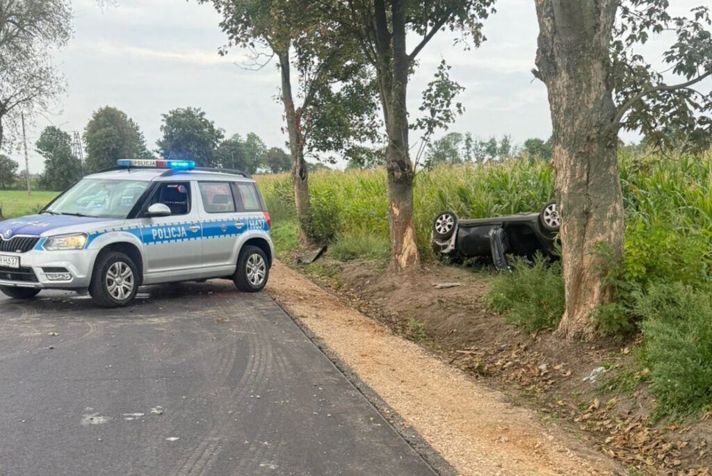 Policyjny samochód z włączonymi światłami stoi przy drodze obok przewróconego pojazdu w zbożu.