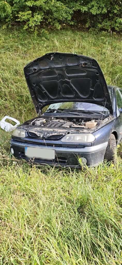 Samochód osobowy z otwartą maską stoi na poboczu drogi, otoczony wysoką trawą.