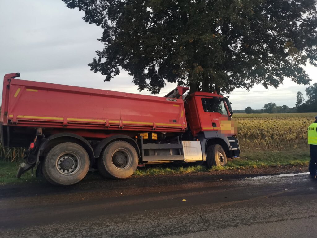 Czerwony samochód ciężarowy stoi przy drodze, z boku widoczny policjant w kamizelce odblaskowej. W tle pole z zaschniętymi słonecznikami.