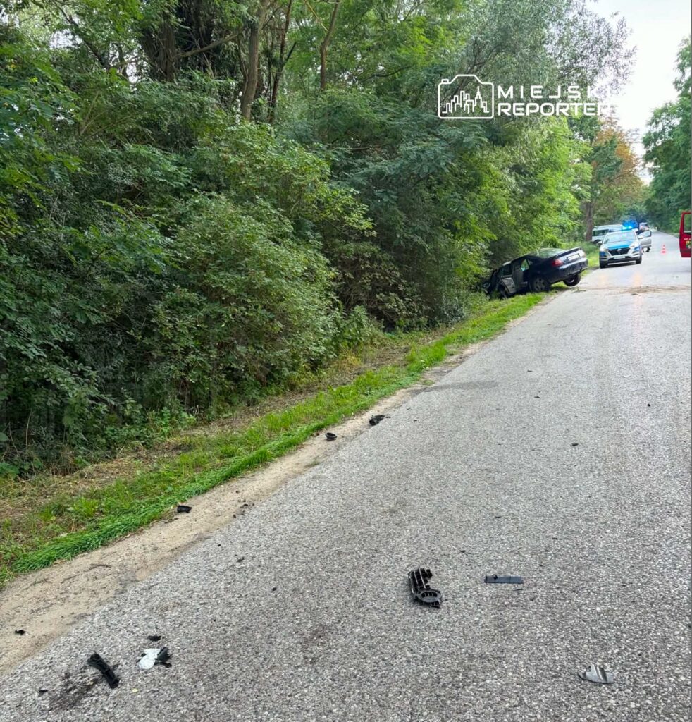 Samochód osobowy w rowie obok drogi, wokół rozrzucone fragmenty pojazdu, w tle radiowóz policyjny.