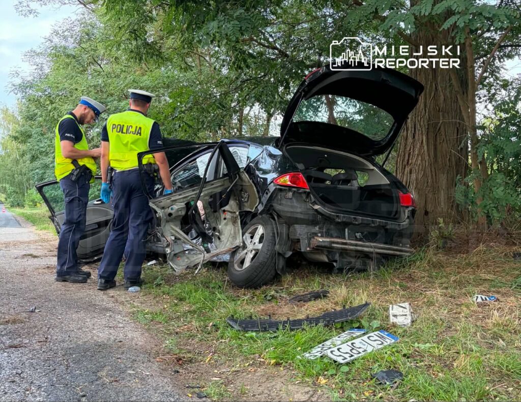 Dwaj policjanci w kamizelkach odblaskowych badają uszkodzony samochód osobowy na poboczu drogi.