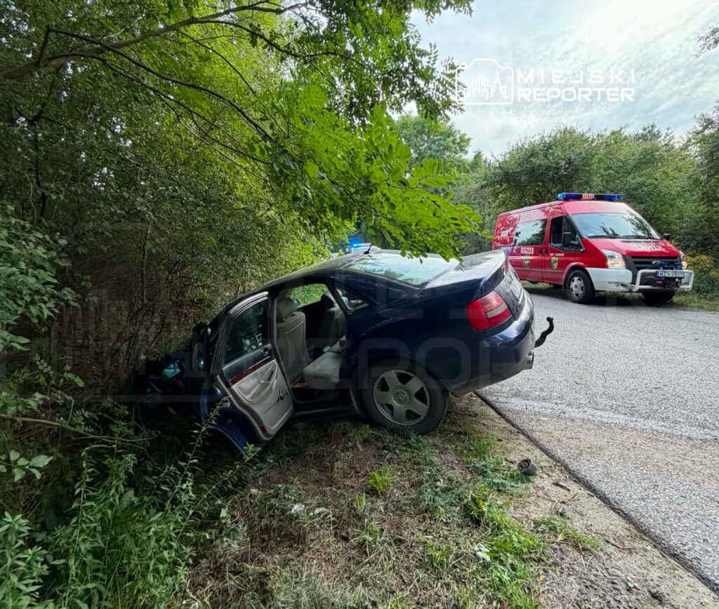 Samochód osobowy wjeżdżający w krzaki obok drogi, obok niego stoi pojazd ratunkowy z włączonymi sygnałami.