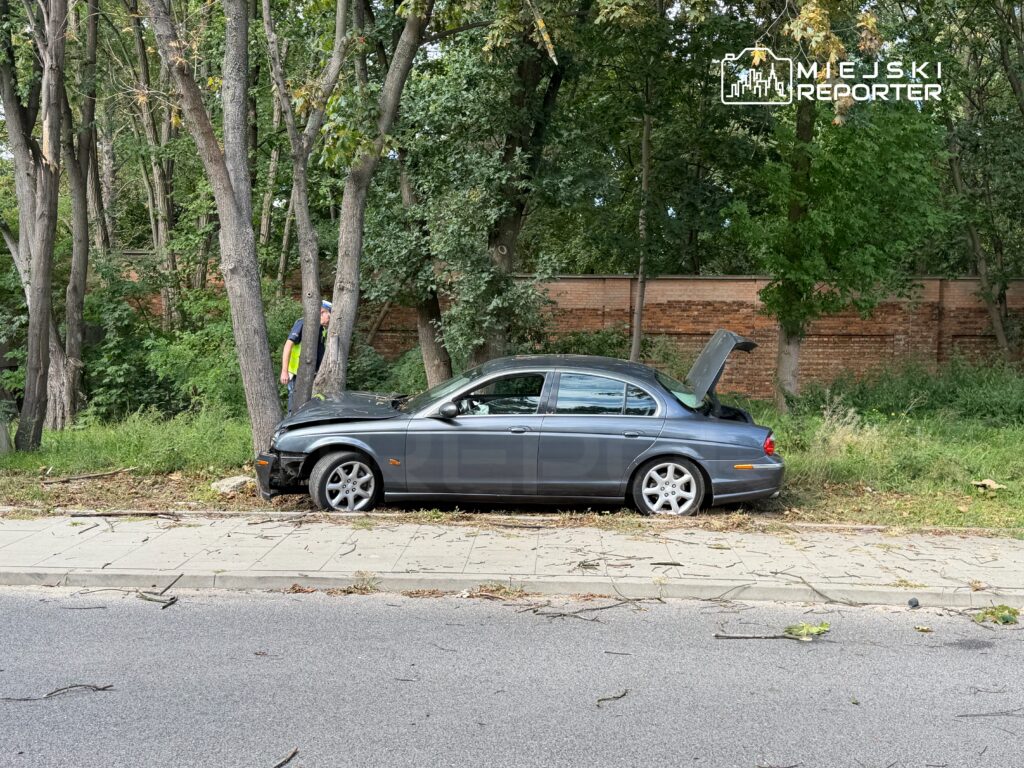 Mężczyzna w kamizelce odblaskowej sprawdza uszkodzony samochód zaparkowany przy drodze, w otoczeniu drzew.