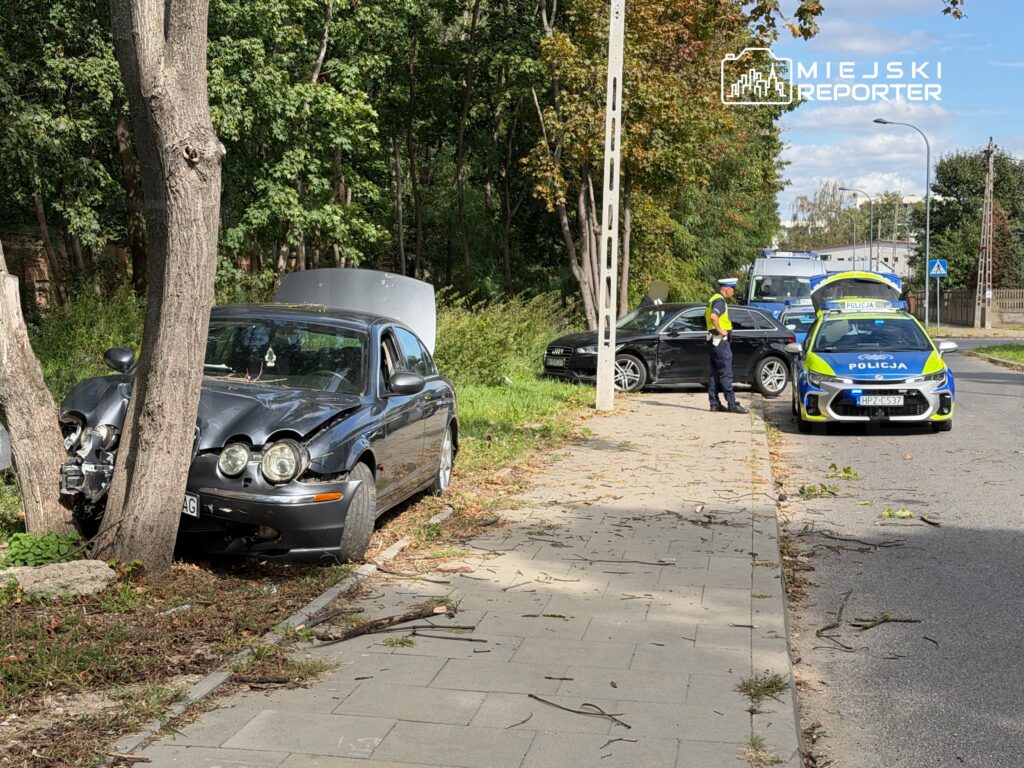 Czarny samochód osobowy z uszkodzeniami stoi przy drzewie, obok policjant rozmawia z kierowcą innego pojazdu.