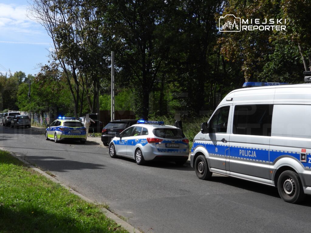 Policjanci w radiowozach zabezpieczają miejsce zdarzenia na miejskiej ulicy otoczonej drzewami.