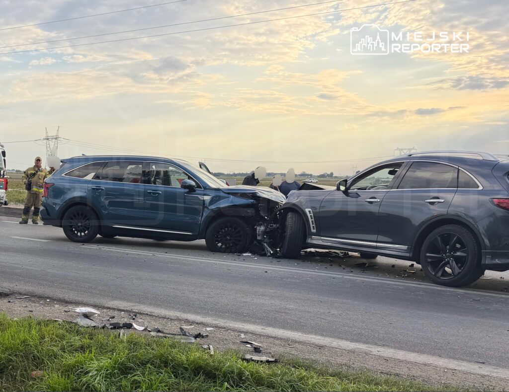 Dwa uszkodzone samochody osobowe na drodze, obok stoi strażak z aparatem w ręku, w tle widoczna panorama.