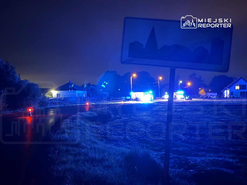 Nocna scena z niebieskimi światłami policyjnymi i ratunkowymi na drodze, w tle widoczny dom i tablica z sylwetką miasta.