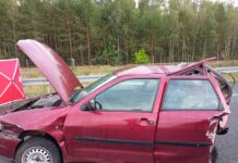 Uszkodzony czerwony samochód osobowy stoi na poboczu drogi, z otwartą maską i wgniecioną boczną częścią. W tle widać las.
