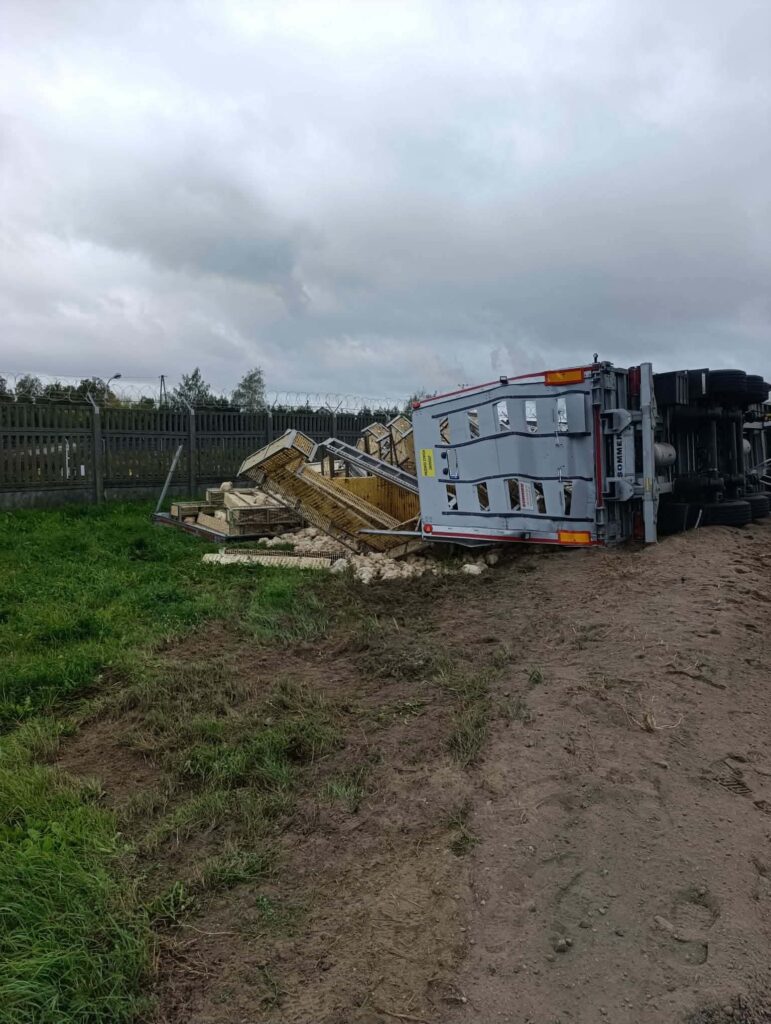 Przewrócony ciężarówka z drewnianymi skrzyniami leżąca na poboczu, w tle ogrodzenie i szare niebo.