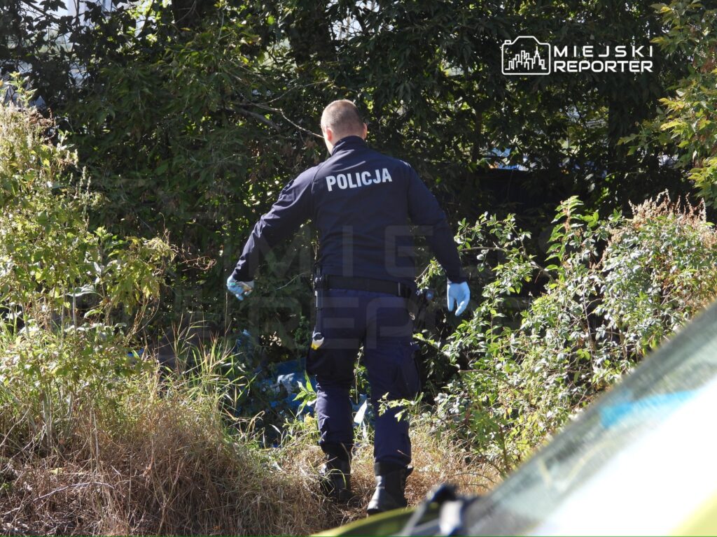 Policjant w niebieskim mundurze przeszukuje teren porośnięty krzewami i trawą, nosząc rękawiczki ochronne.