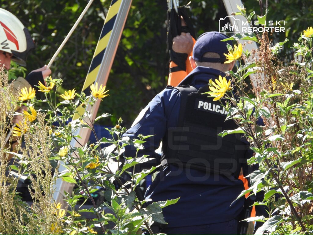 Funkcjonariusz policji w kamizelce z napisem "POLICJA" obserwuje akcję ratunkową wśród wysokiej roślinności.