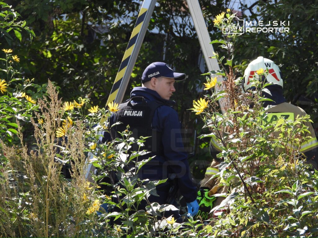 Policjant w mundurze obserwujący działania strażaka w otoczeniu kwitnących roślin.