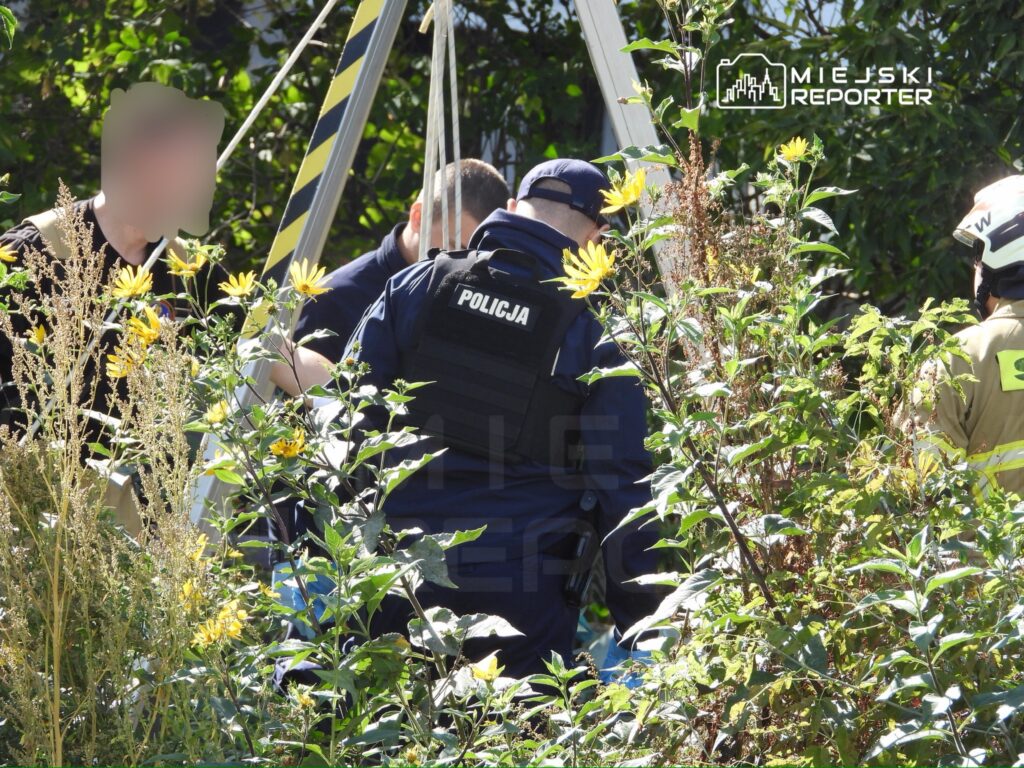 Grupa funkcjonariuszy w mundurach, w tym policjant, pracuje w otoczeniu zieleni i kwiatów.