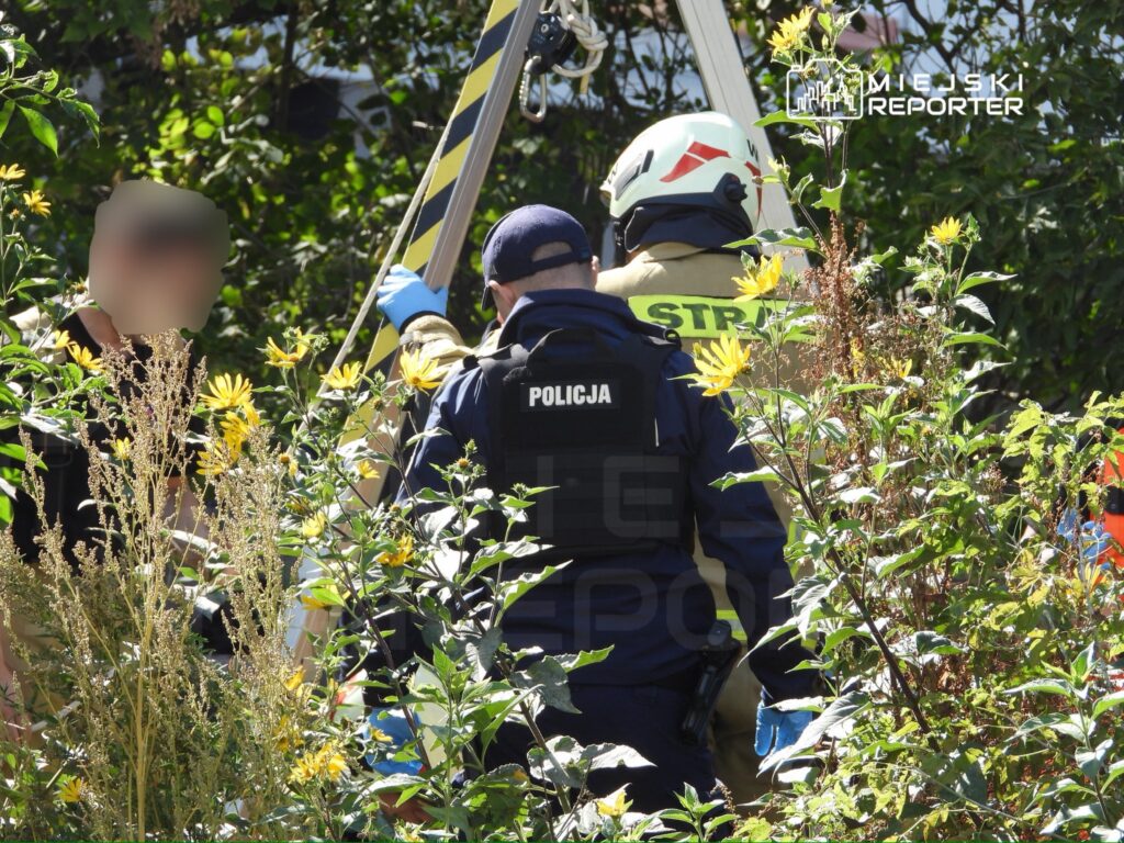 Grupa ratowników i policjantów pracuje nad zabezpieczeniem poszkodowanego w zaroślach.