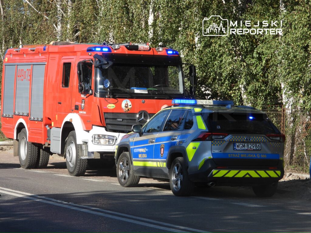 Czerwony wóz strażacki i niebieski samochód straży miejskiej stoją na ulicy przy zarośniętym ogrodzeniu.