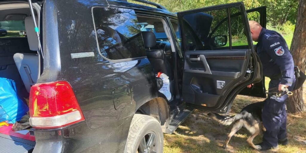 Policjant prowadzi psa tropiącego przy otwartych drzwiach czarnego samochodu w lesie.