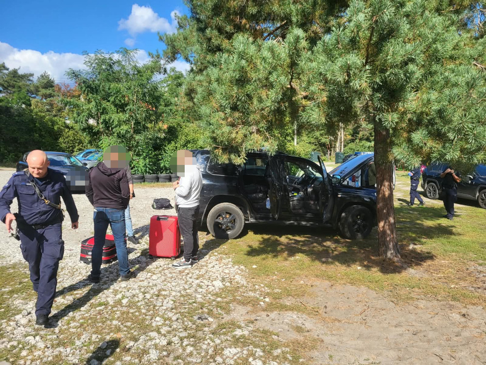 Policjanci stoją przy czarnych samochodach i bagażach na leśnym parkingu pod sosnami.