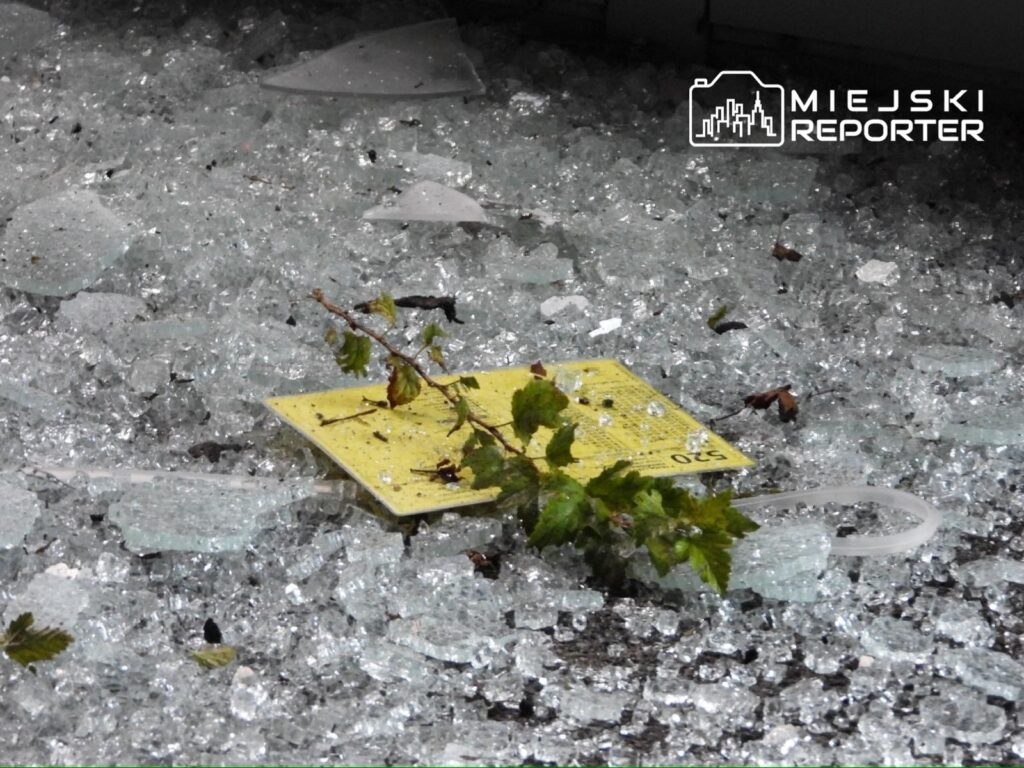 Szkło rozbite na ziemi, z żółtą tabliczką i gałązką rośliny pośród kawałków szkła.