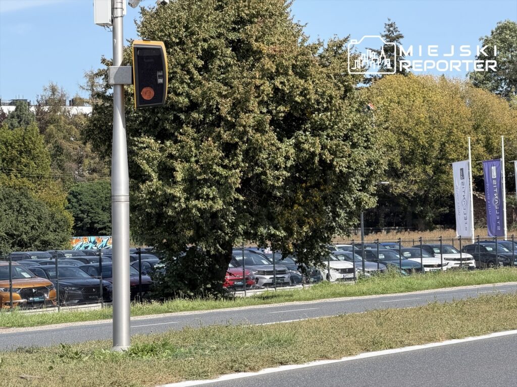 Fotoradar umieszczony na słupie przy drodze, w tle widoczne zaparkowane samochody oraz zieleń drzew.