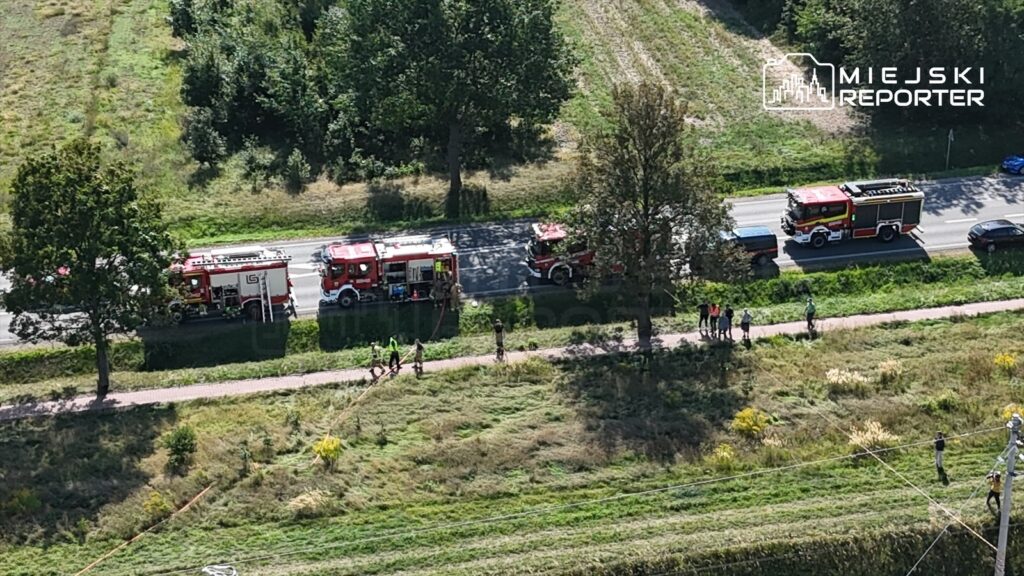 Na drodze stoją dwa wozy strażackie, a obok grupka ludzi obserwuje akcję ratunkową. W tle widać zieleń oraz asfaltową nawierzchnię.