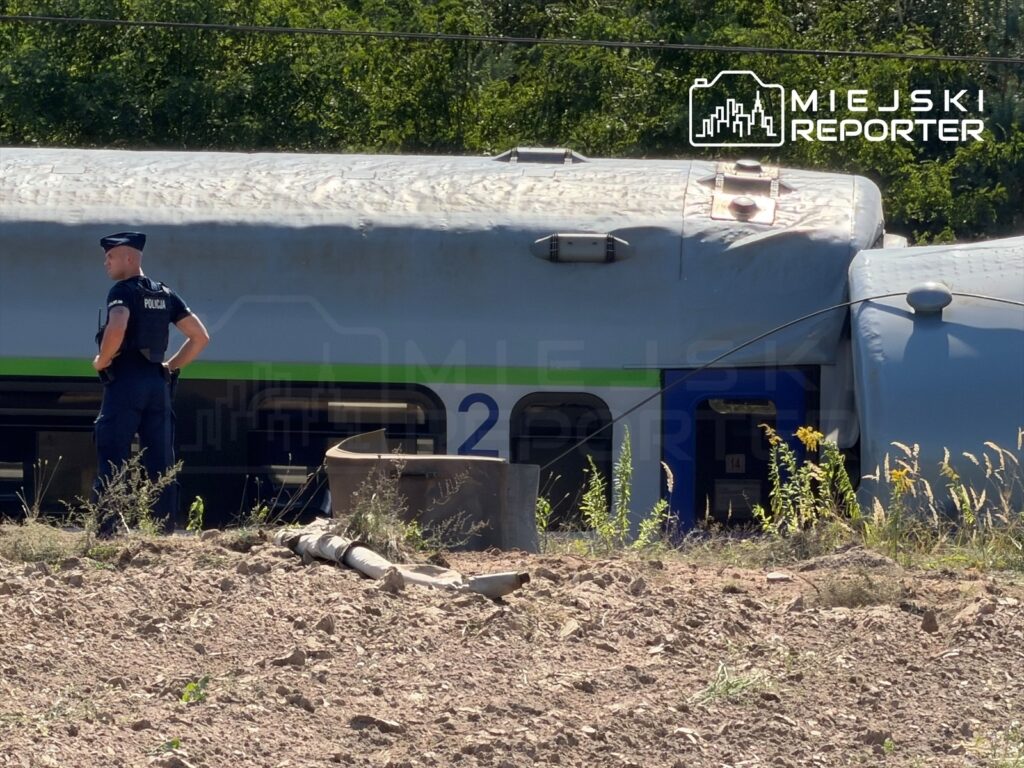 Policjant w mundurze stoi obok uszkodzonego pociągu na tle zieleni. Wokół widoczne zarośla i ziemia.