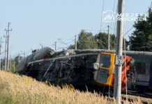 Wykolejony pociąg leży na torach, otoczony wysoką trawą, z widocznymi słupami trakcyjnymi w tle.