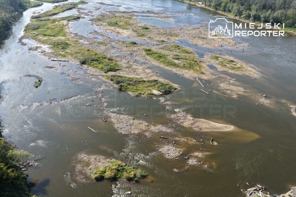 Widok na płytką rzekę z odsłoniętymi kamieniami i wyspami trawiastymi, otoczoną zielenią.