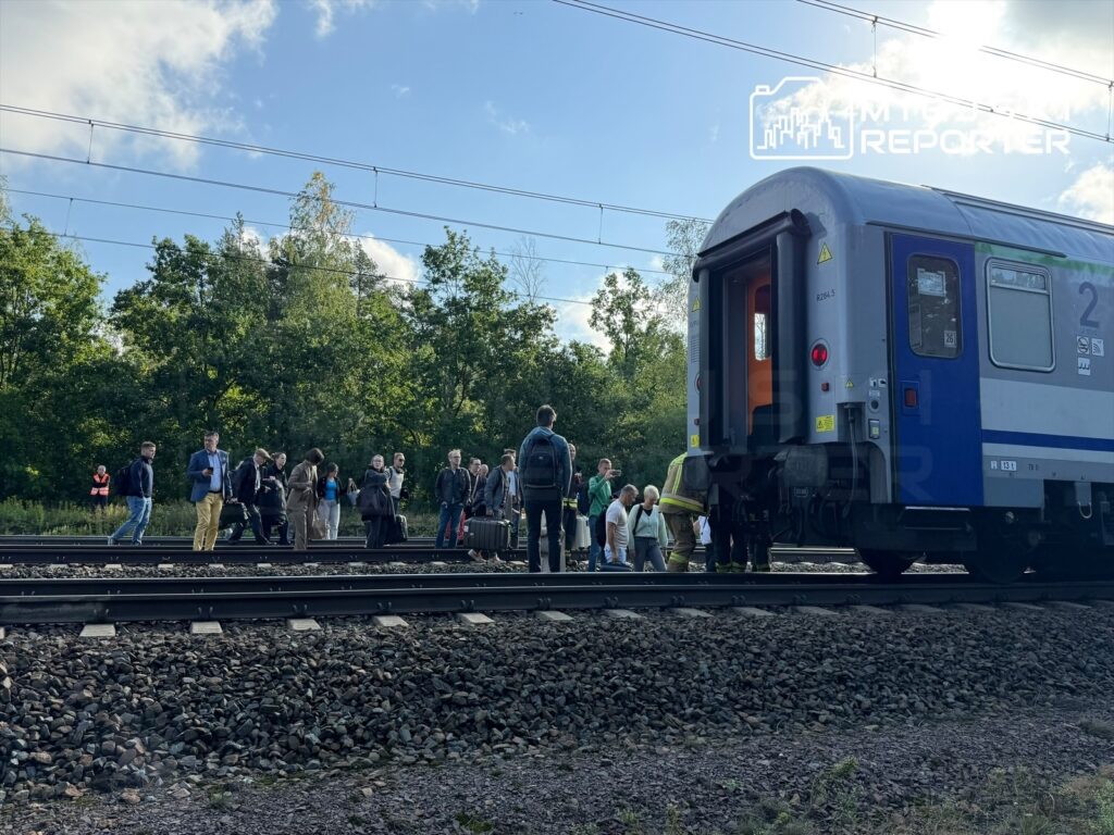 Grupa pasażerów z bagażami stoi obok pociągu na torach, w otoczeniu zieleni i drzew, w trakcie ewakuacji po wypadku.