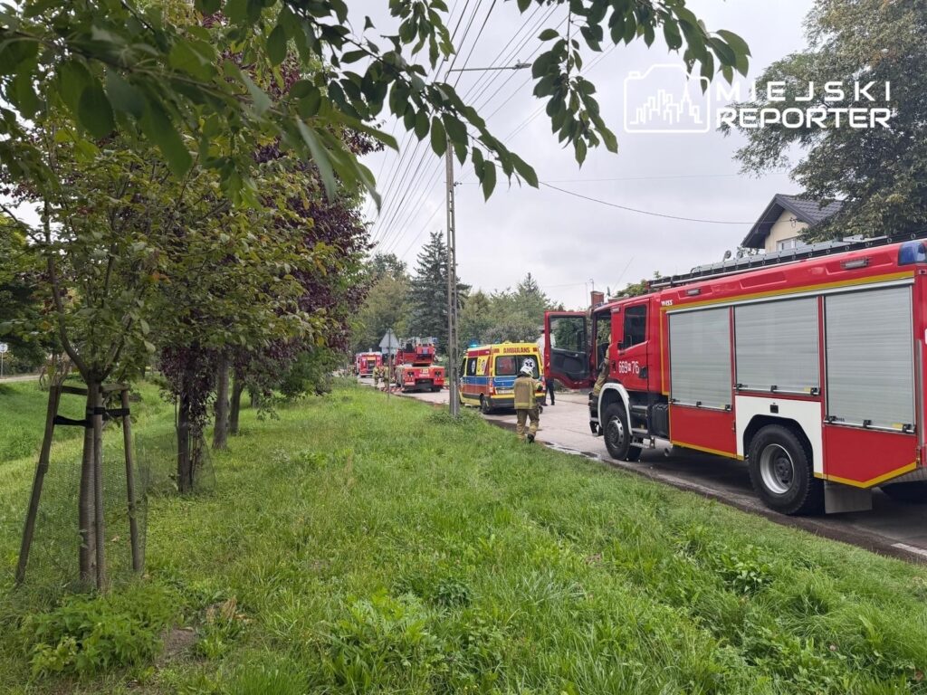 Czerwony wóz strażacki oraz karetka na ulicy, obok rosnące drzewa i zieleń, w tle budynki mieszkalne.