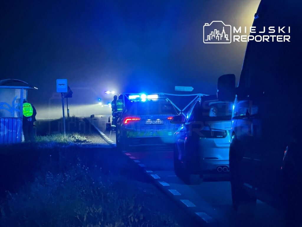 Policjanci w odblaskowych kamizelkach zabezpieczają miejsce wypadku na drodze, w tle widać radiowozy z niebieskimi światłami.