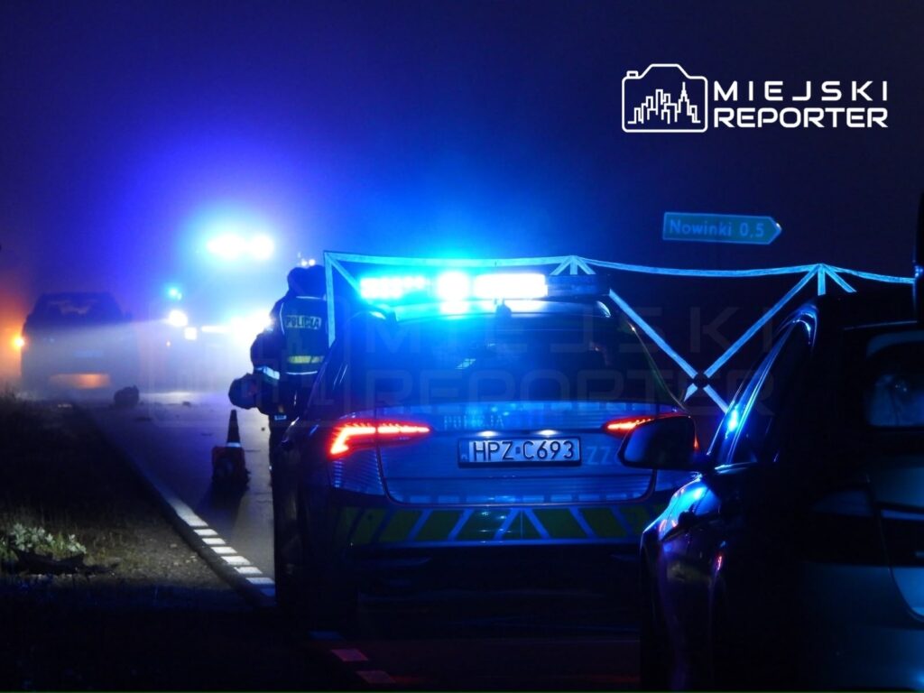 Na drodze w mglistej scenerii, policjant zabezpiecza miejsce wypadku, obok zaparkowany radiowóz z włączonymi światłami.