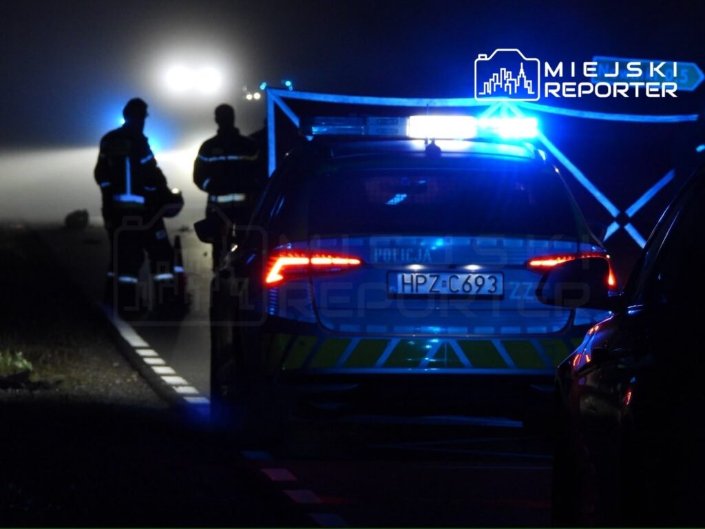 Policjanci prowadzący działania na miejscu wypadku, oświetleni niebieskimi sygnalizatorami, w nocy na drodze.