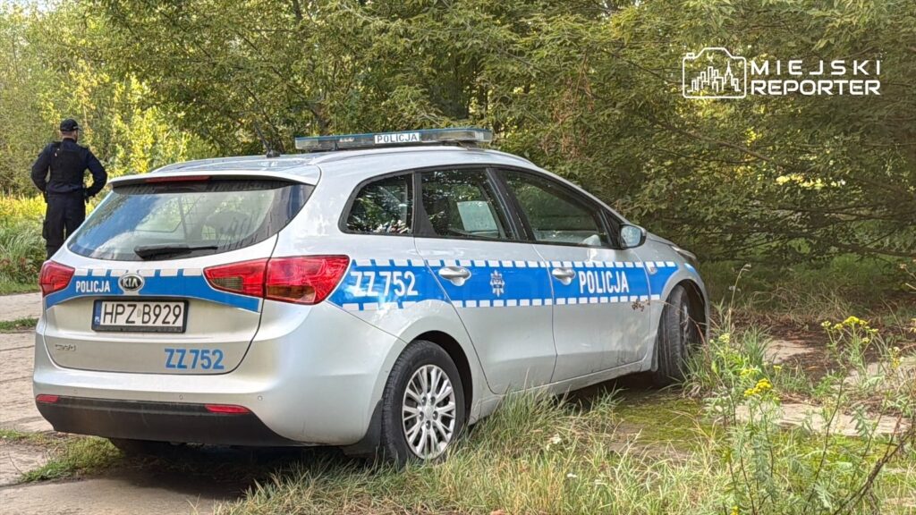 Policjant w mundurze przeszukuje teren obok radiowozu na tle zieleni.