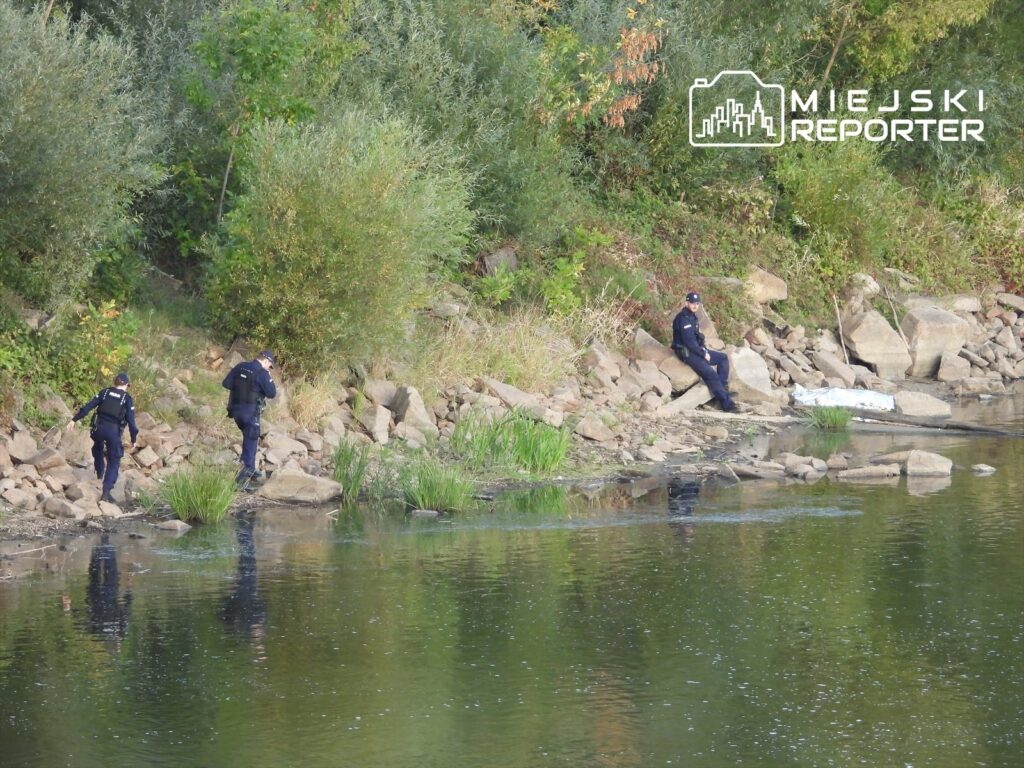 Trzech policjantów przeszukuje brzeg rzeki, w tle widoczna zielona roślinność oraz leżący na brzegu przedmiot.