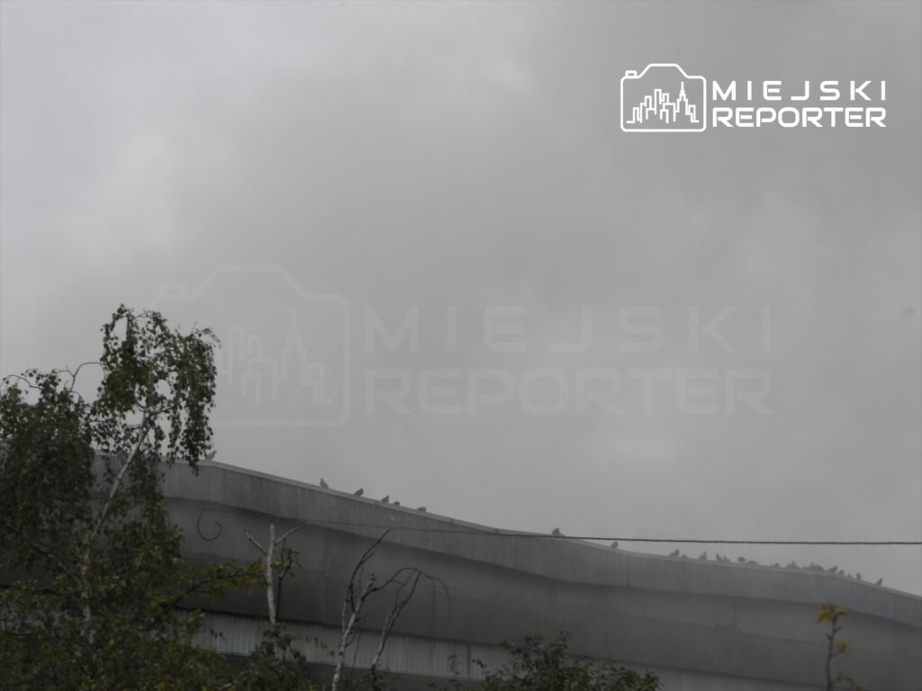 Gęsty dym unoszący się nad dachem hali, na której siedzą ptaki, w tle szare chmury. Akcja gaśnicza trwa przy ulicy Płochocińskiej.