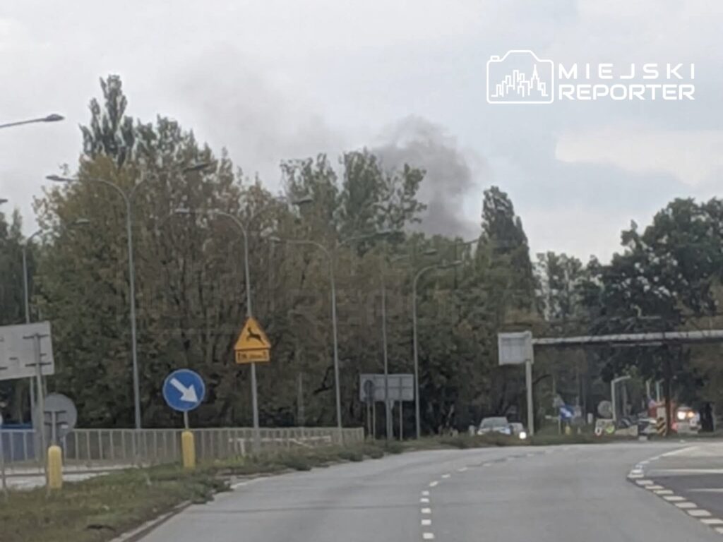 W oddali widać dym unoszący się nad drzewami przy ulicy Płochocińskiej, w pobliżu sygnalizacji drogowej.