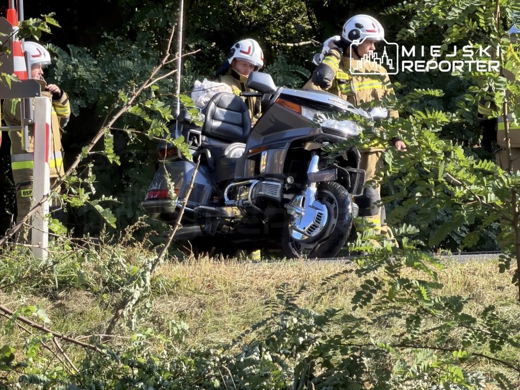 Strażacy w mundurach rozmawiają obok uszkodzonego motocykla na poboczu drogi, otoczeni zielenią.